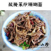 酸腌菜炒珊瑚菌