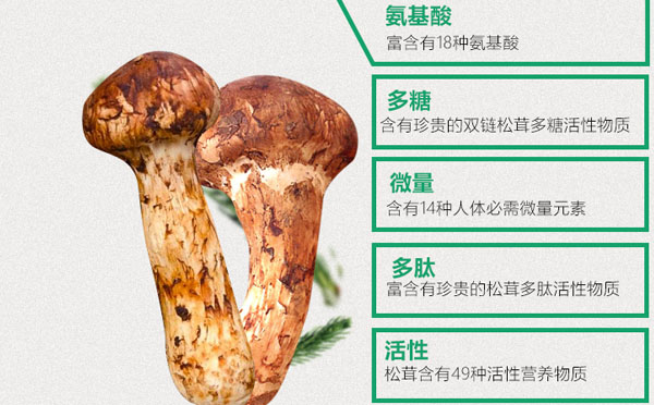 松茸的功效与作用有哪些