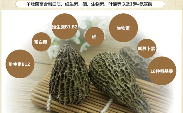 羊肚菌营养价值
