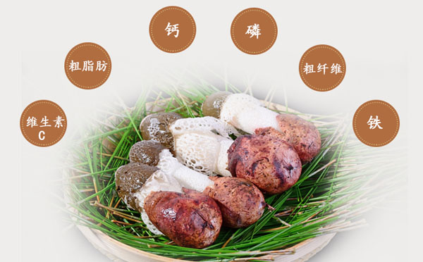 竹荪蛋有哪些功效与作用