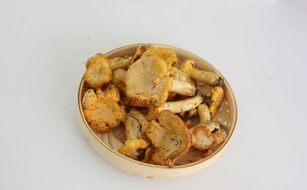 鸡油菌几月份有的吃