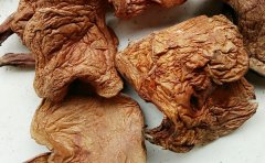 红乳牛肝菌怎么吃以及做法