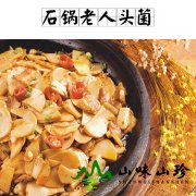 石锅老人头菌