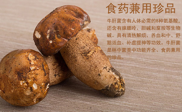 牛肝菌和黑牛肝菌的区别