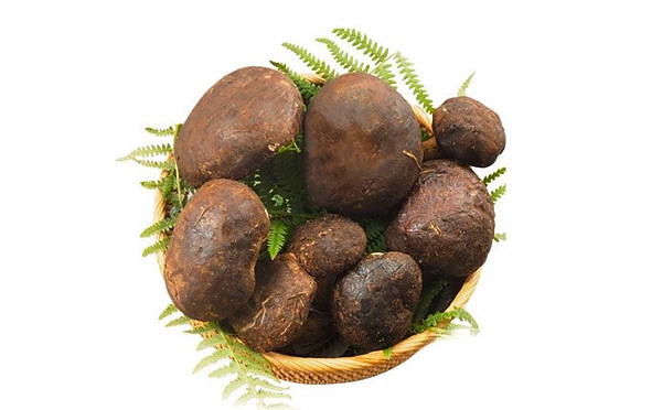黑牛肝菌变色还能吃吗?