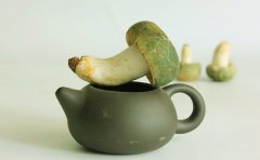 青头菌不能和什么食物同食
