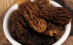 羊肚菌的食疗做法以及禁忌
