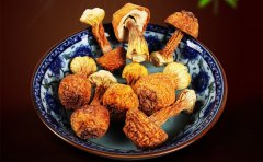 姬松茸怎么洗最干净