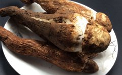 新鲜鸡枞菌怎么保存才不会坏掉