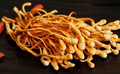 干虫草花怎么保存才不会变质