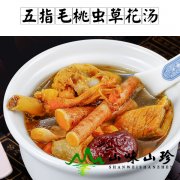 五指毛桃虫草花汤