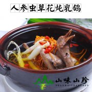 人参虫草花炖乳鸽