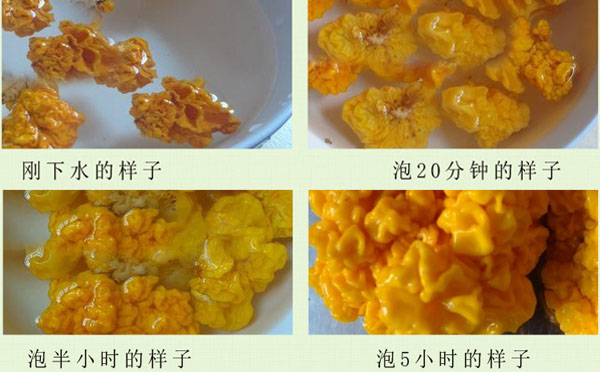 金耳大概要泡多长时间才最好