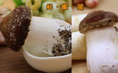 新鲜姬松茸怎么洗沙子