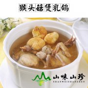 猴头菇煲乳鸽