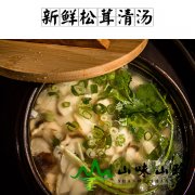 新鲜松茸清汤的做法