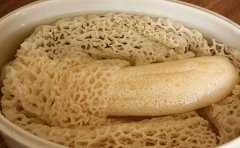 长裙竹荪怎么吃才好吃