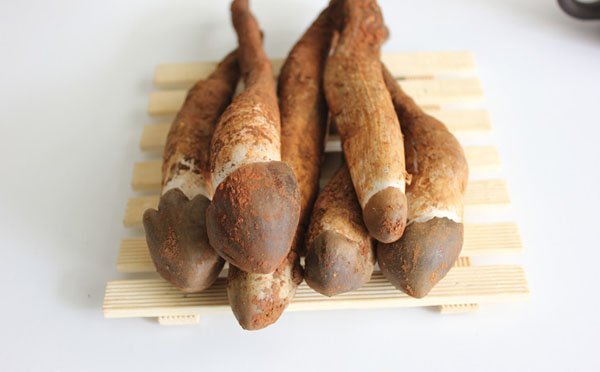 怎么分辨鸡枞菌新鲜有营养