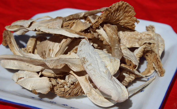 干松茸不泡发直接炖汤可以吗