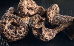 黑虎掌菌煲汤配什么好