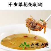 干虫草花炖乳鸽汤