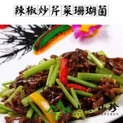 辣椒炒芹菜珊瑚菌