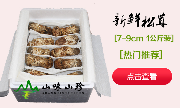 新鲜松茸7-9cm