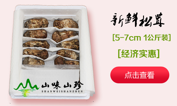 新鲜松茸5-7cm