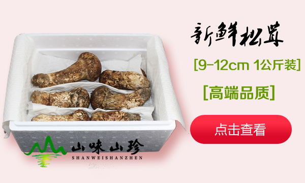 新鲜松茸9-12cm