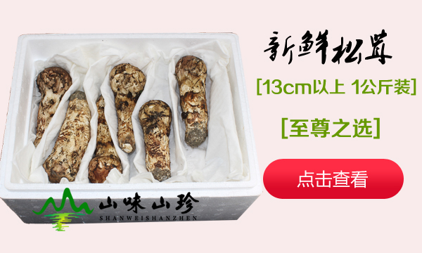 新鲜松茸13cm以上