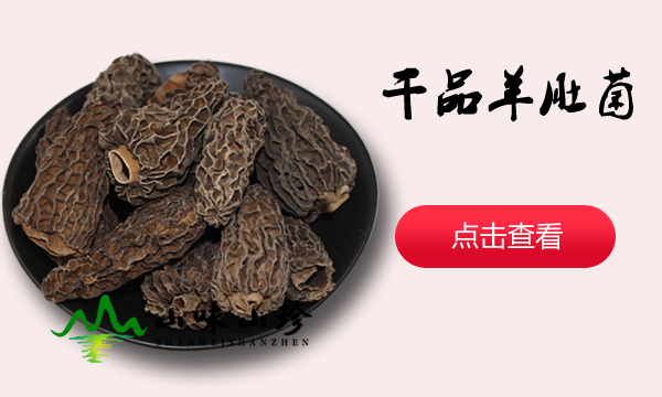 干品羊肚菌