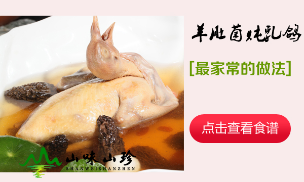 羊肚菌炖乳鸽