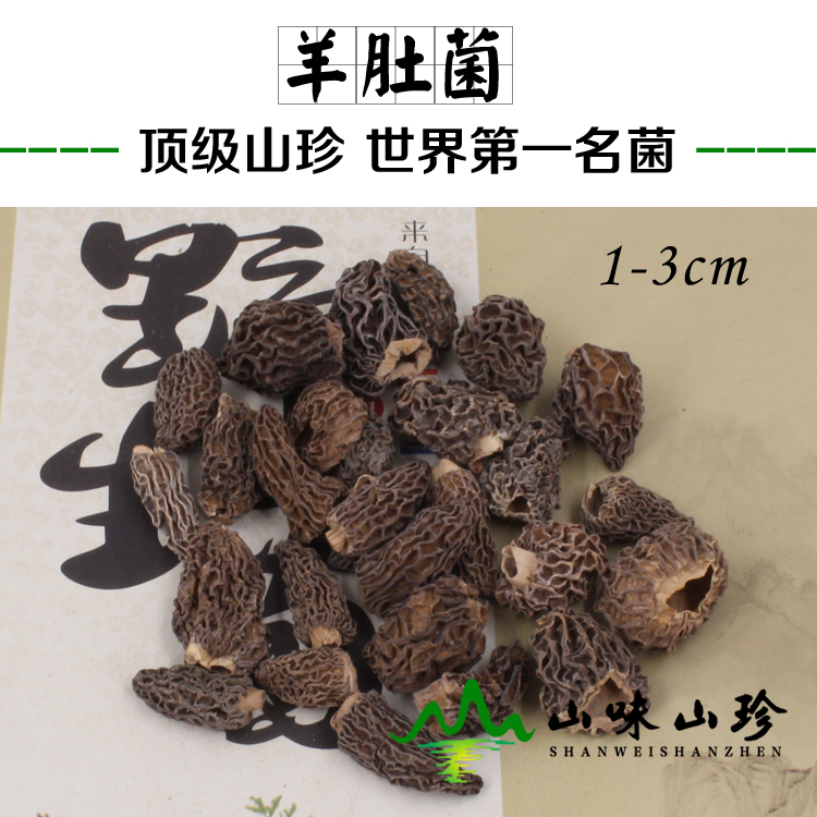 野生羊肚菌1-3cm 小个