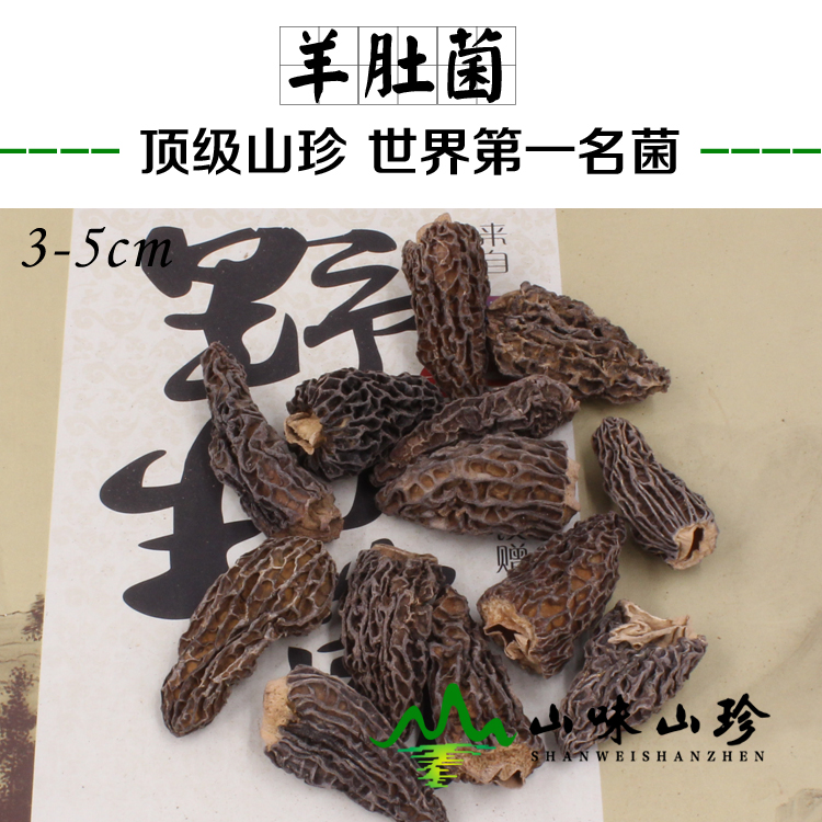 野生羊肚菌干货3-5cm