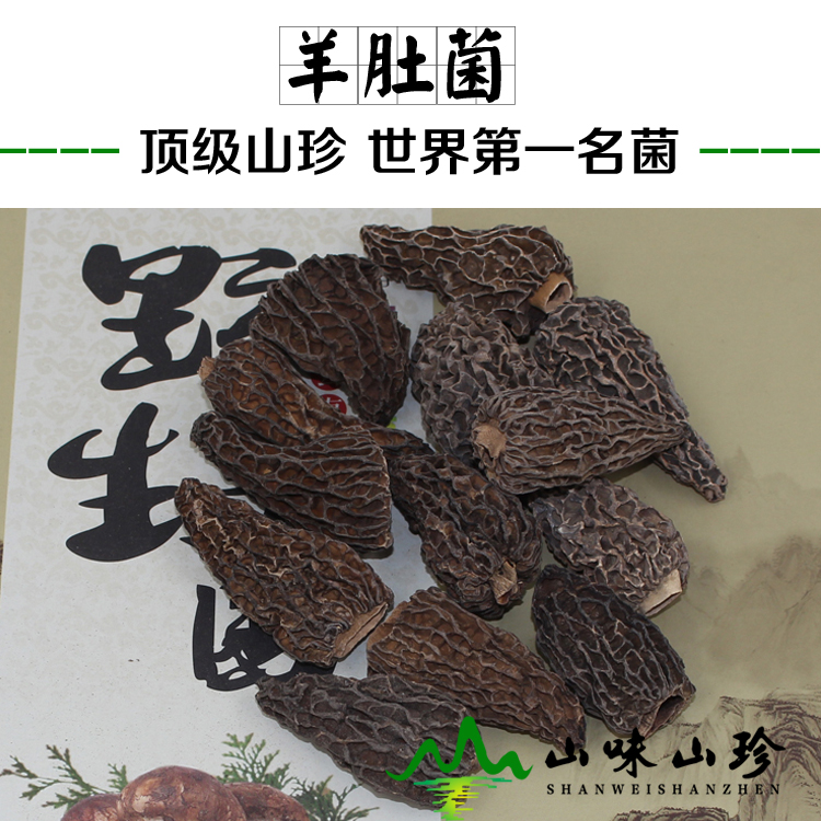 野生羊肚菌5-7cm