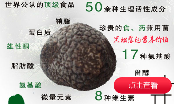 黑松露的营养价值与功效