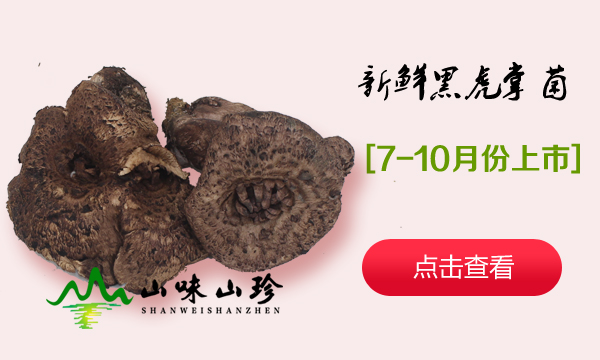 新鲜黑虎掌菌