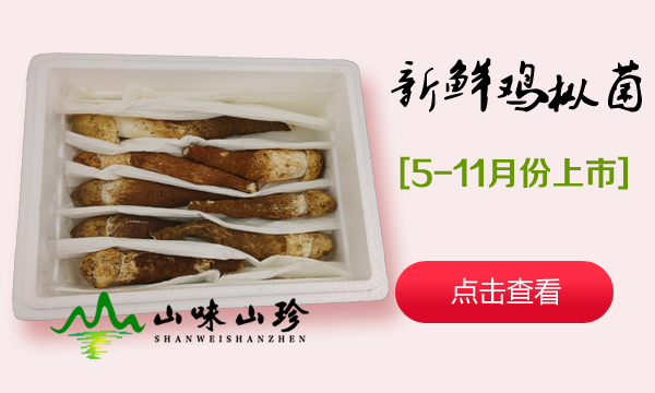 新鲜鸡枞菌