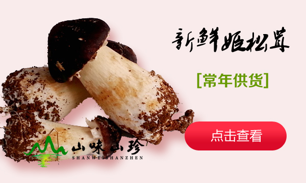 新鲜姬松茸
