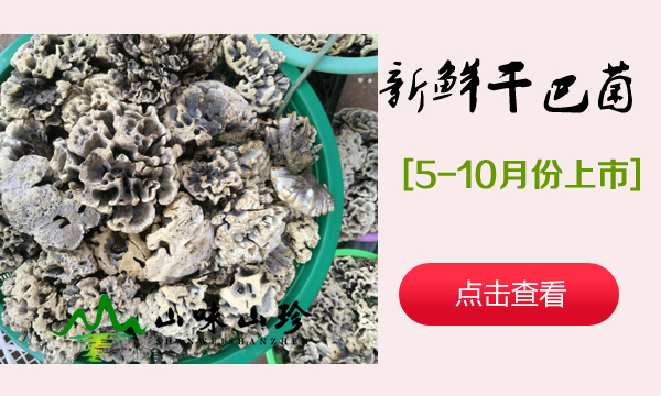新鲜干巴菌