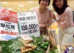 日本松茸多少钱一斤