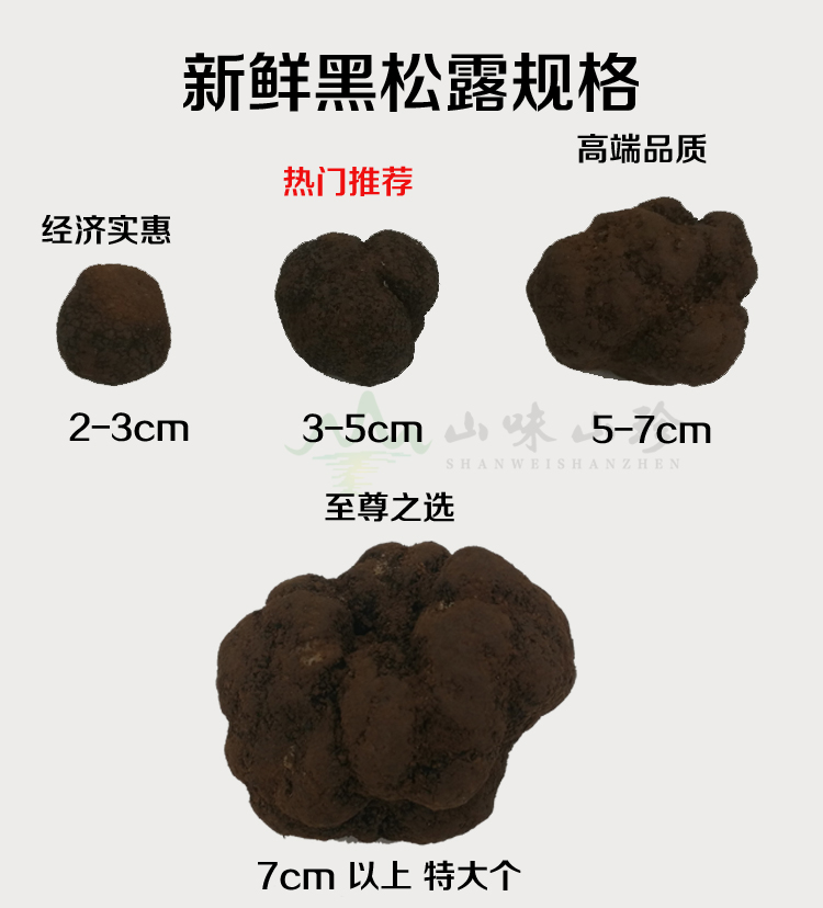 新鲜黑松露规格