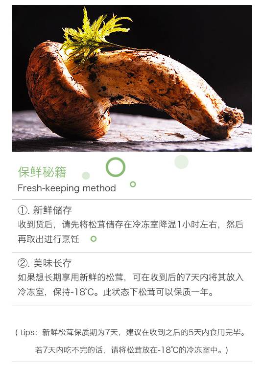 新鲜松茸保存方法