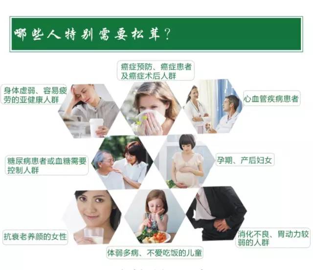 新鲜松茸适合人群