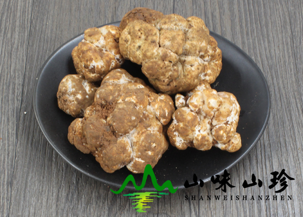 新鲜白松露批发