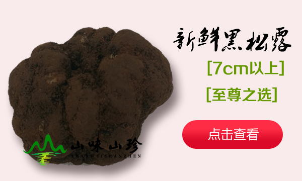 7cm以上新鲜黑松露 7cm以上新鲜黑松露