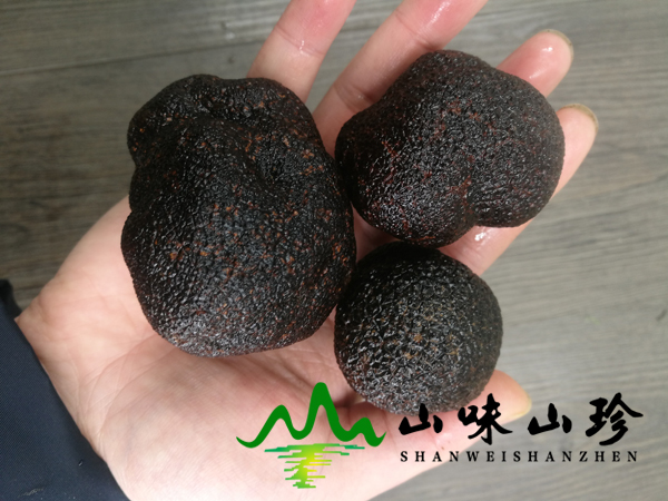 清洗过后的新鲜黑松露3
