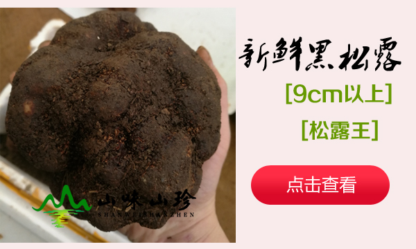 黑松露菌王