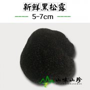 新鲜黑松露5-7cm--高端品质