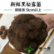 新鲜黑松露9cm以上-----顶级货